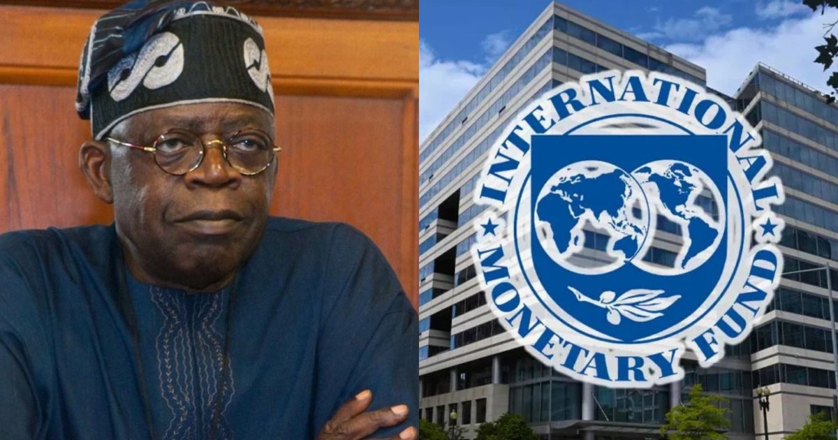 Nigeria Draws 1.5 Billion Dollars as First Tranche of 5 Billion UAE Swap Deal Amid IMF Warnings